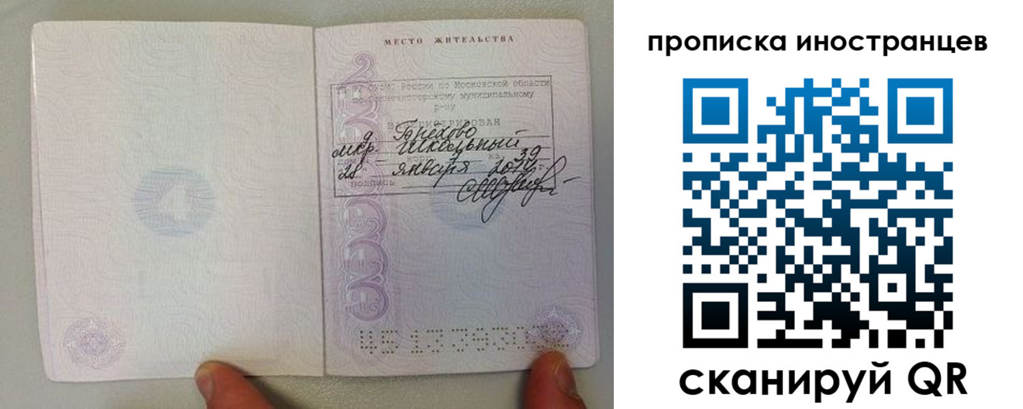 прописка поиск в Киселёвске